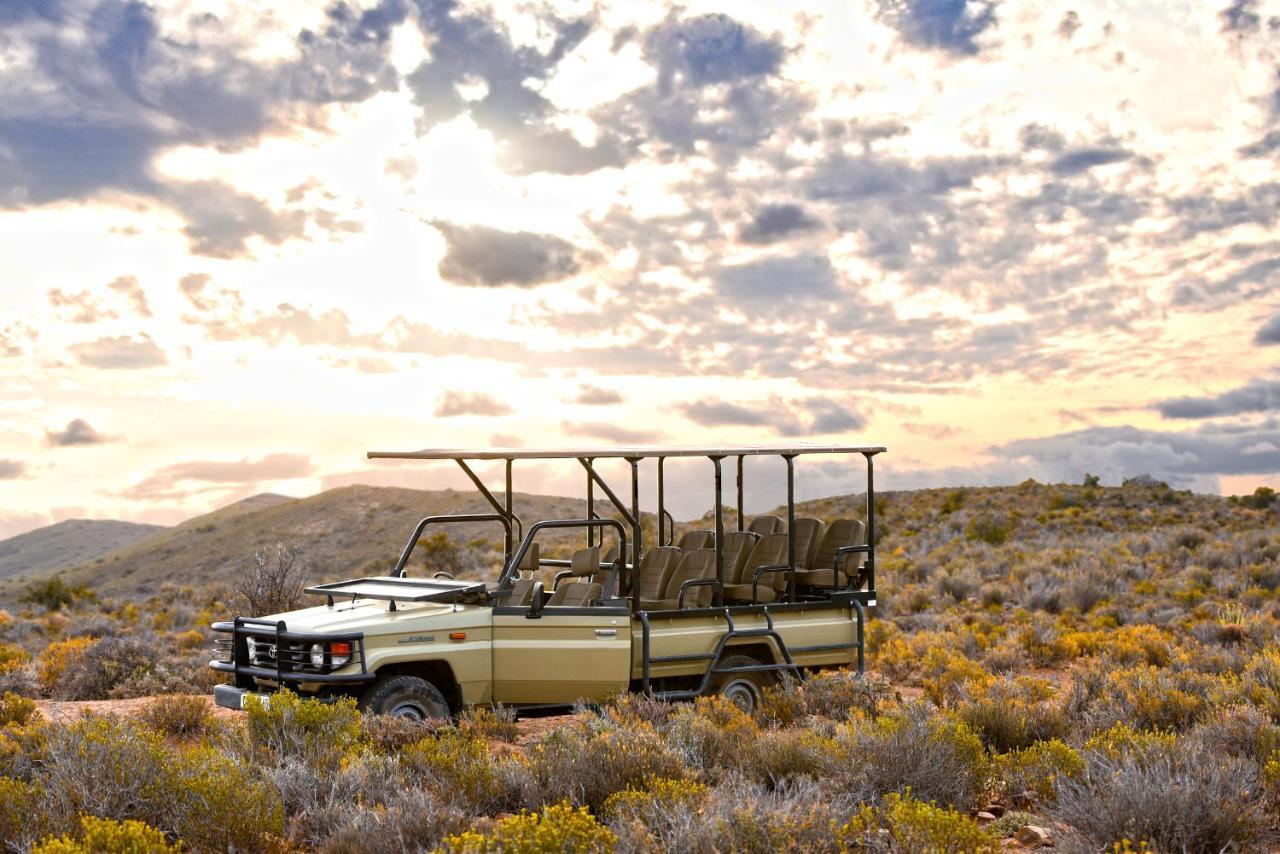 Mont Eco Game Reserve Montagu Eksteriør billede