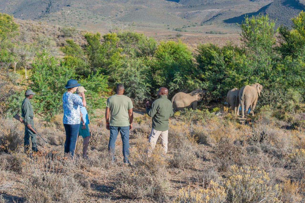 Mont Eco Game Reserve Montagu Eksteriør billede