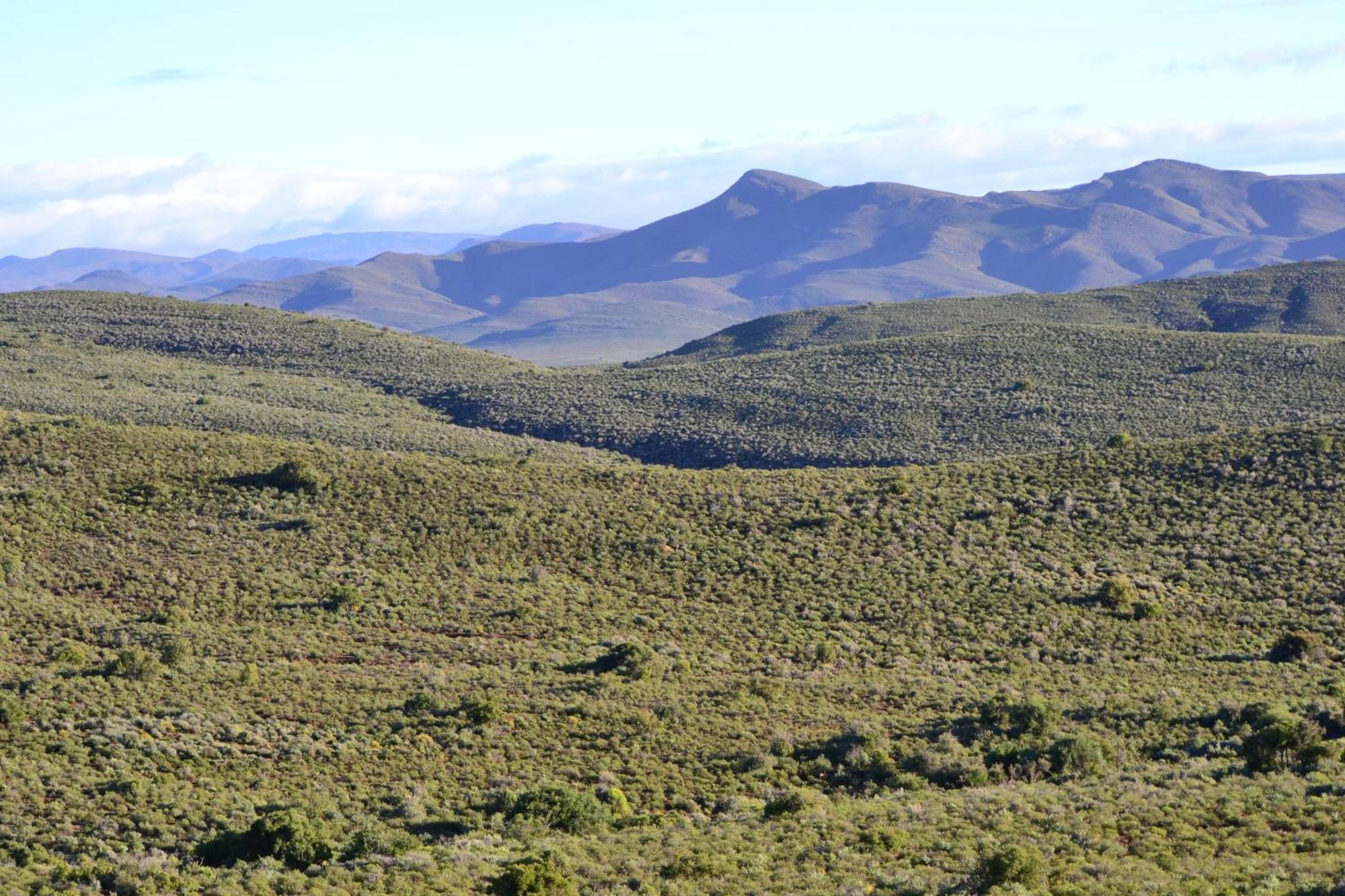 Mont Eco Game Reserve Montagu Eksteriør billede
